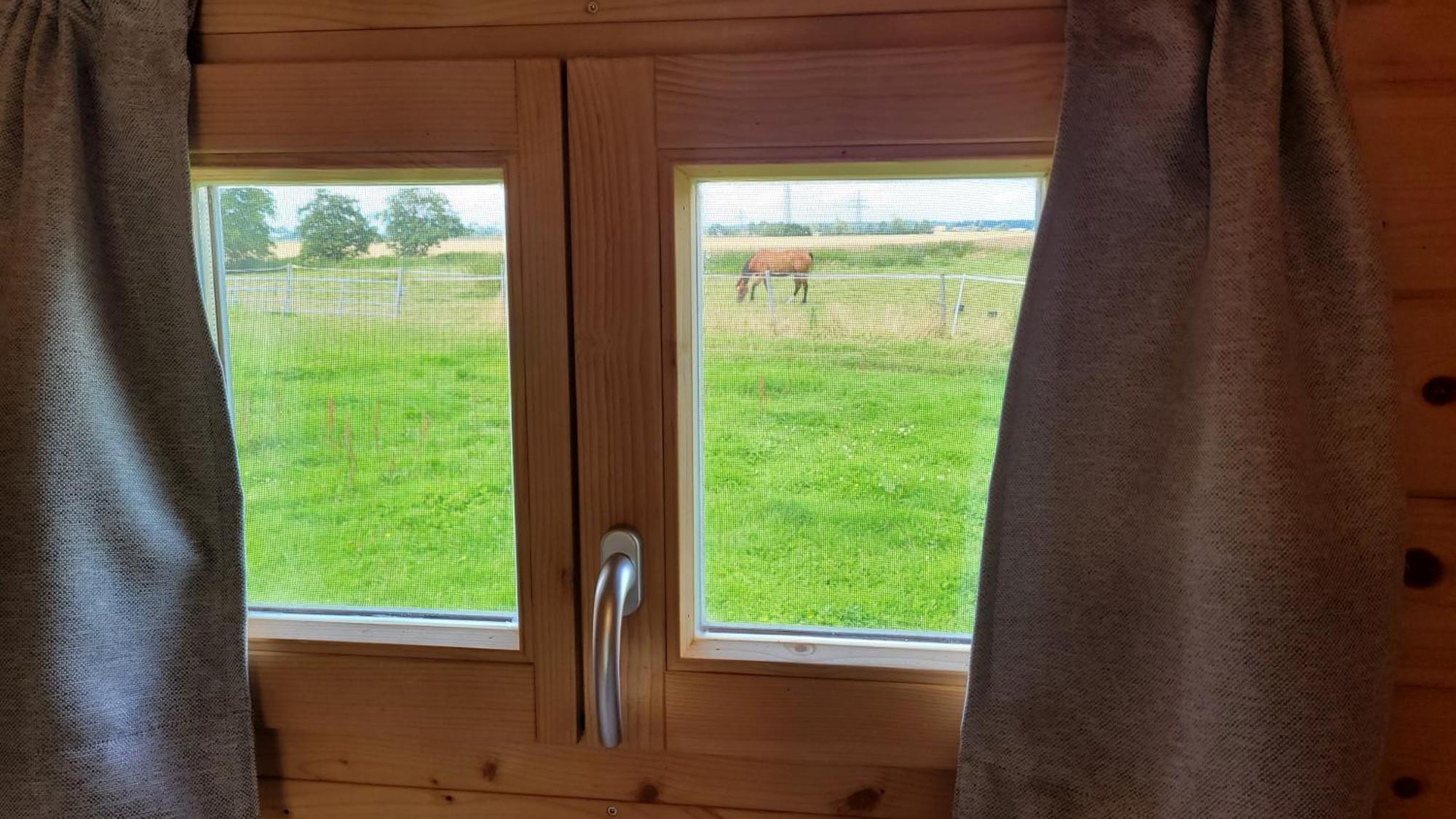 Schlaffass Hotell Grevenkop Exteriör bild